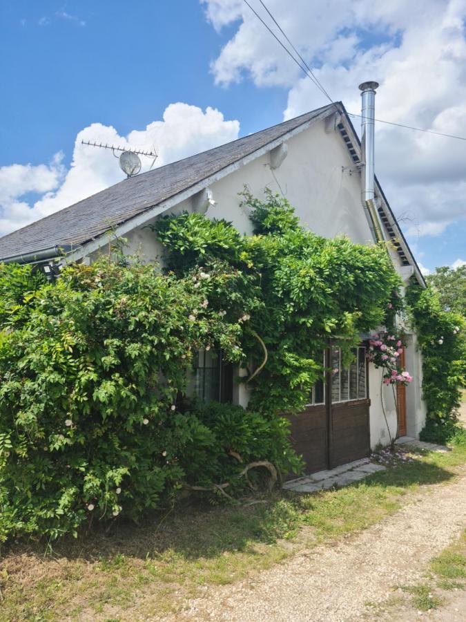 "Gite Les Glycines" Linge Inclus Proche Centre-Ville Blois Exterior foto